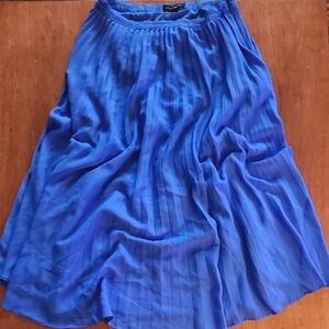 Banana Republic Cobalt Blue Pleated Skirt
